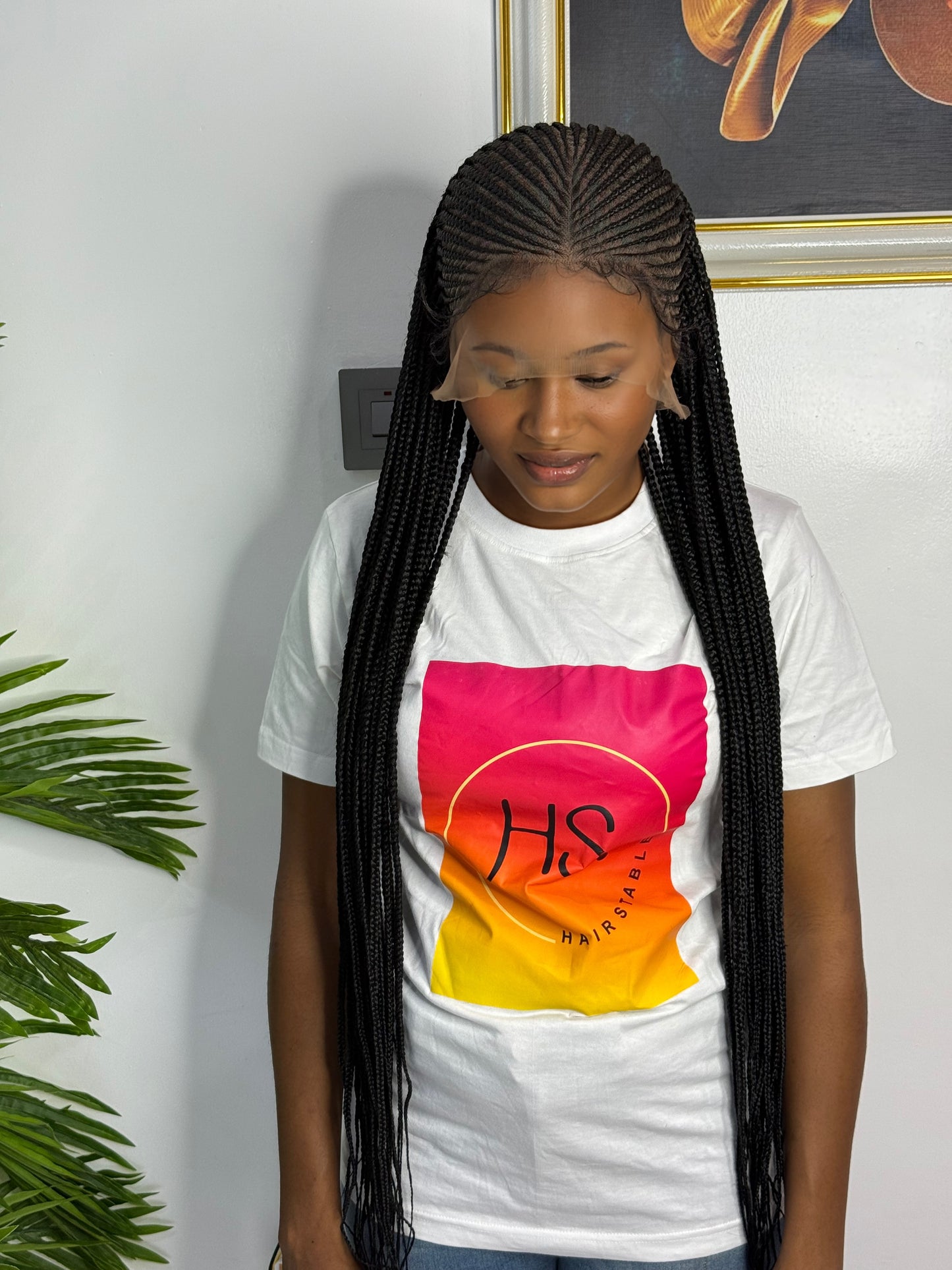 Middle Part Cornrow Braided Wig Half Up/Down - HD Transparent Full Lace Braided Wig With Baby Hairs