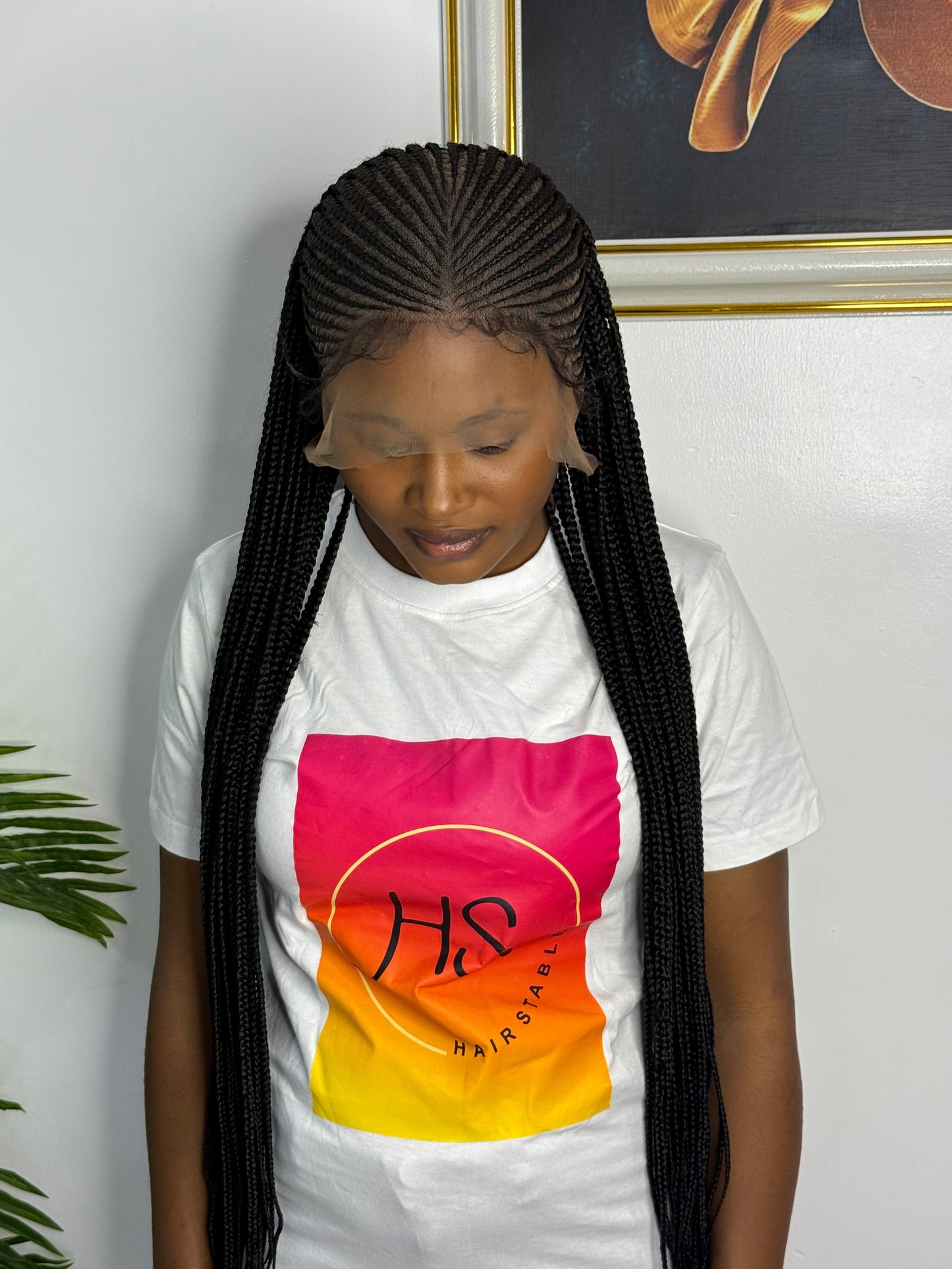 Middle Part Cornrow Braided Wig Half Up/Down - HD Transparent Full Lace Braided Wig With Baby Hairs