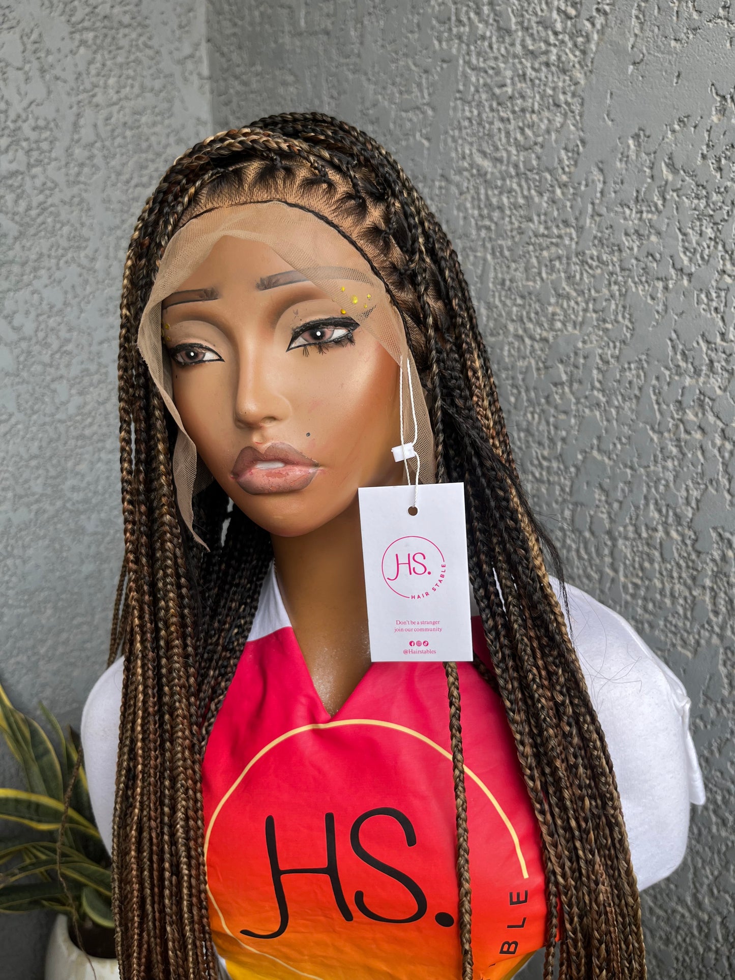 Knotless Braided Wig - HD Transparent Full Lace Braided Wig With Baby Hairs (Ombre Mix)